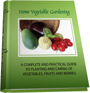 home vegetable gardening