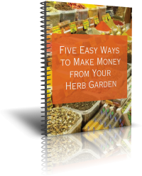 make money with your herb garden